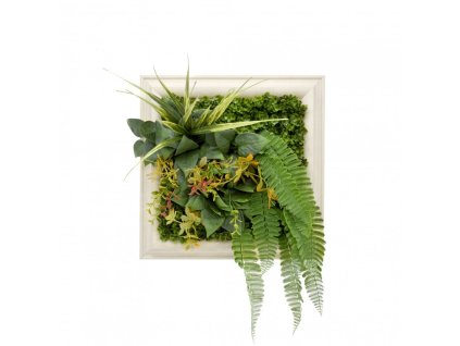 panel kolorowych roslin idylla 35bd0c7737d349d8a24cf05e2fcad2ad 1b37a5bd