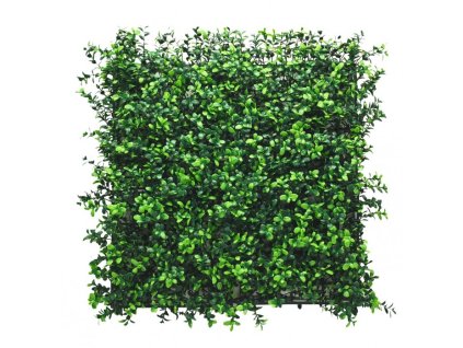 panel zieleni bukszpan 0c1c3a9cbebd4062a3eb77fbfa7eb3ba 0e93f374