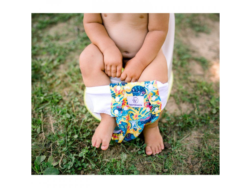 Training Pants for potty training 