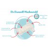 Organic Bio-Baumwolle Höschenwindel Bamboolik