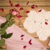 Washable Organic Cotton Cleansing Pads with Ribbon