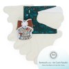 Kleines Stoffwindel Set für alle diejenigen, die unsere AI2 DUO Stoffwindeln ausprobieren möchten | Bamboolik