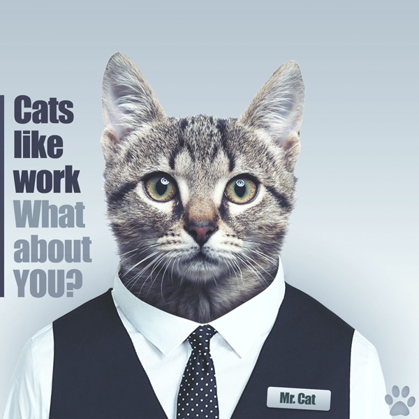 Jak jsme se nezbláznili v době lockdownové #1