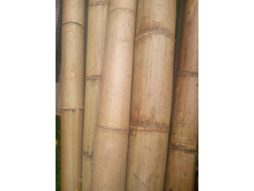 Bambusová tyč 80-100mmx200cm