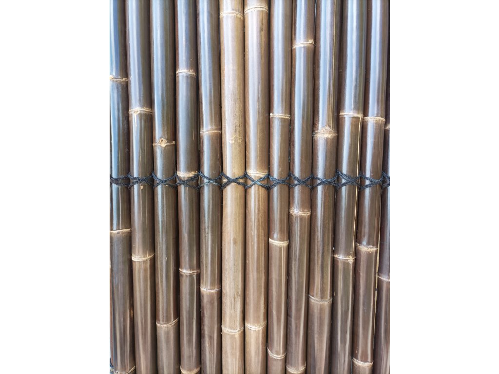 Bambusové pole WULUNG LAKOVANÉ , prům.60-70mm, v.200xš.100cm