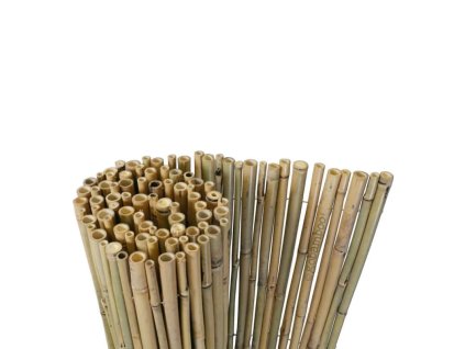 tonkin bambusz tekercs