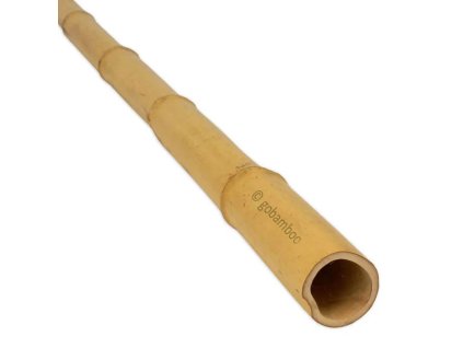 bambusz rud moso o 3 4 cm