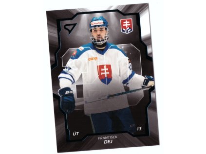 2024 SportZoo Hokejové Slovensko FRANTIŠEK DEJ Team 20