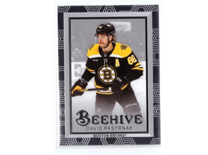2024-25 UD Extended Series DAVID PASTRŇÁK Beehive