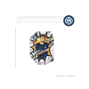 2025-26 Daka Top Audience Inter Milan Box