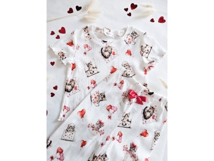 625355763 10214446520473880 493034259746074088 n