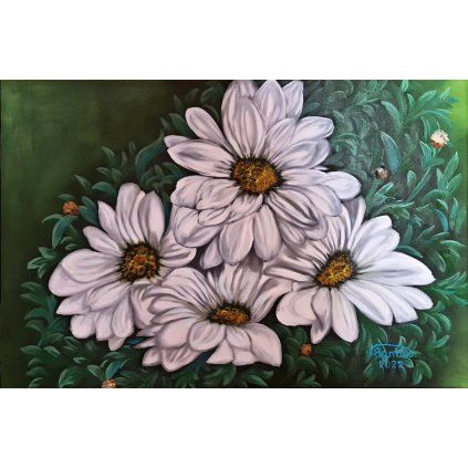 kopretiny olej na platne 60x40 cm