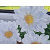 olejomalba kopretiny destive okno 30x40