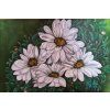 olejomalba bile kopretiny na platne 60x40