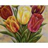 moderni obraz kvetiny tulipany 70x100 cm