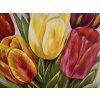 barevne tulipany olejomalba velky obraz 70x100