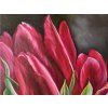 romanticky obraz s cervenymi tulipany
