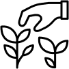 Ručně zpracovaný čaj