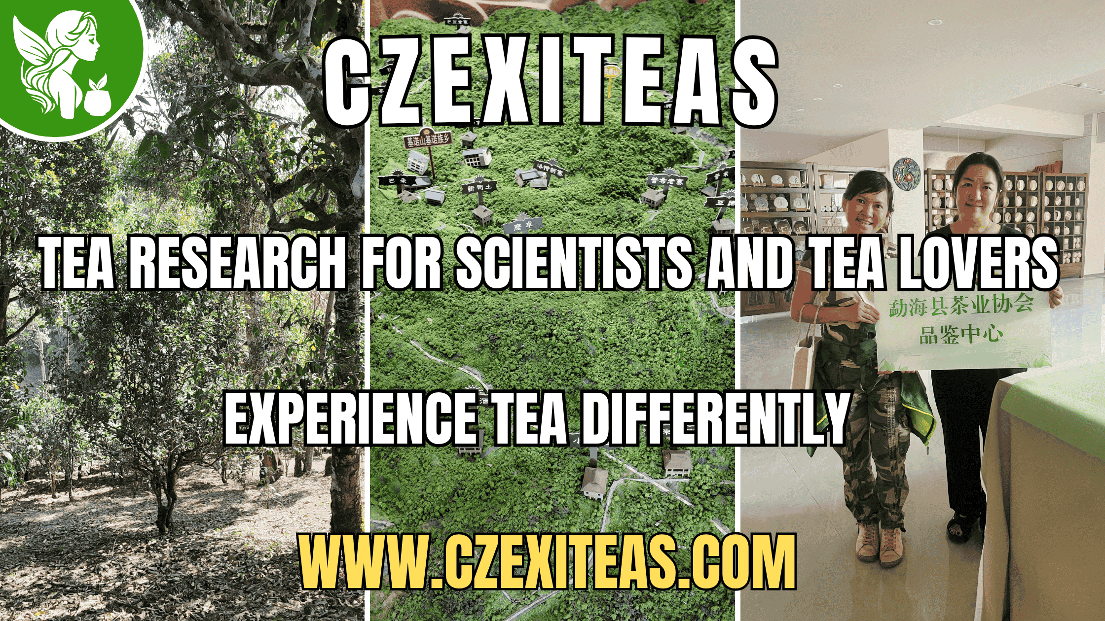 CZEXITEAS