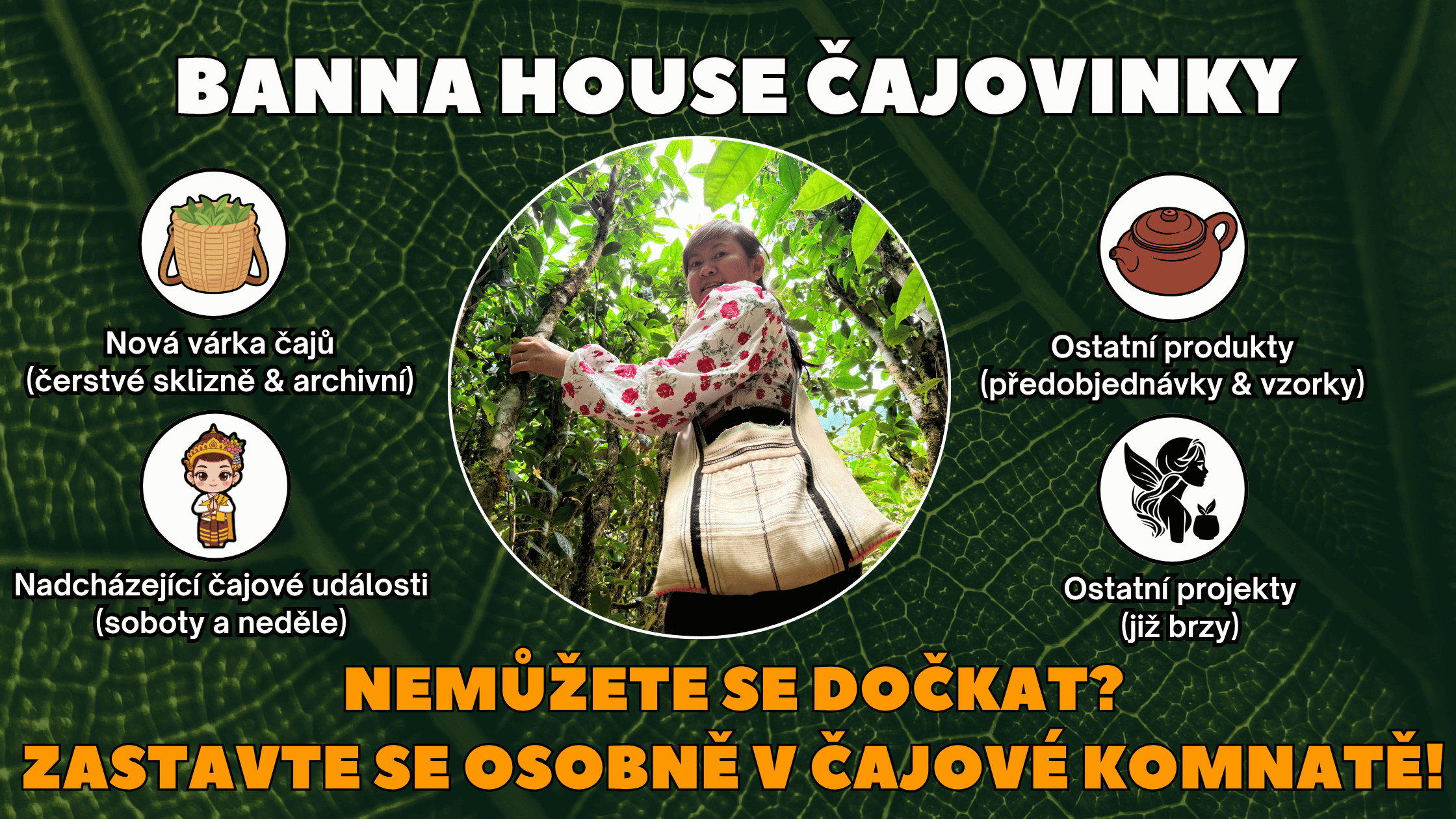 Čajovinky