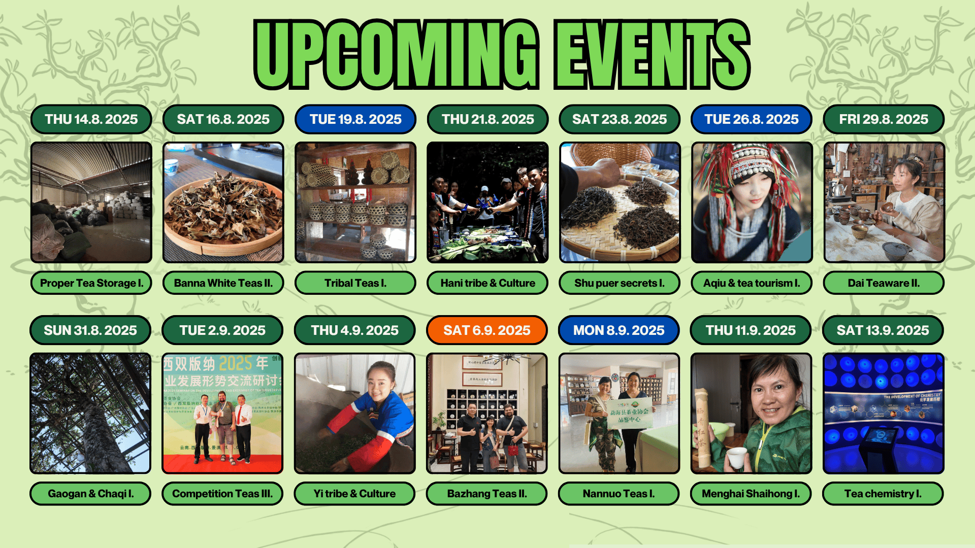 Upcoming events Summer-Autumn 2025