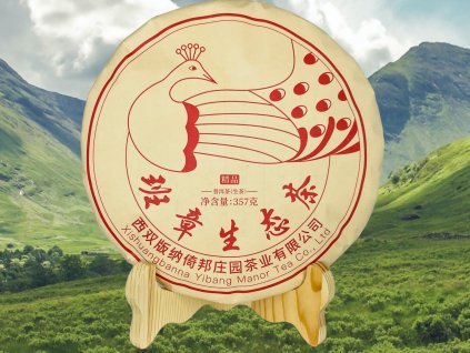 TSNG009 Banzhang Shengtain Shengcha 2020 1
