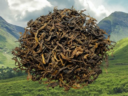 SHUT014 Zhanglang Dashu Shucha 2018 1