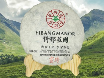 TSNG034 Mangzhuang Gushu Sheng 2023 1