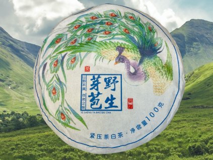 BAIT011 Hesong Yesheng Yabao 2024 1