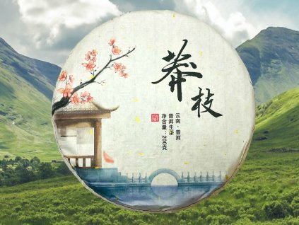 TSNG052 Mangzhi Qiaomu Shengcha 2022 1