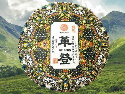 HONGT020 Gedeng Qioamu Hongcha 2025 1
