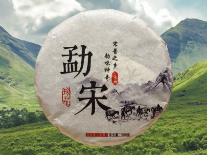 TSNG086 Damenlong Gushu Shengcha 2021 1