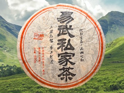 TSNG087 Yiwu Shengcha 2003 1