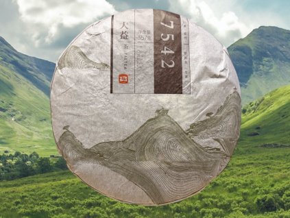 TSNG089 Dayi 7542 Shengcha 2013 1