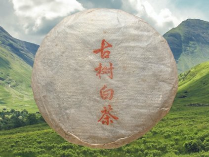 BAIT028 Damenglong Gushu Baicha 2019 1