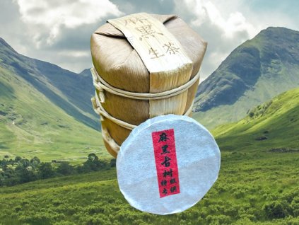 TSNG090 Mahei Gushu Shengcha 2022 1