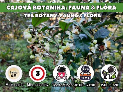 WE002 - Čajová botanika: fauna & flóra