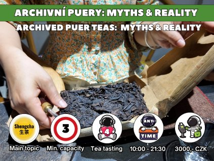 WE012 - Archived puer teas: Myths & Reality
