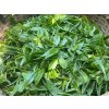 Yibang tea 8