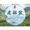 TSNG073 - Laobanpen Shengcha 2023