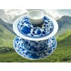 JDZG017 gaiwan 100 ml 1