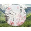 THNG026 Tongqinghe Qiaomu Hongcha 2025 1