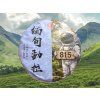 TSNG091 Myanmar 815 Gushu Shengcha 2024 1