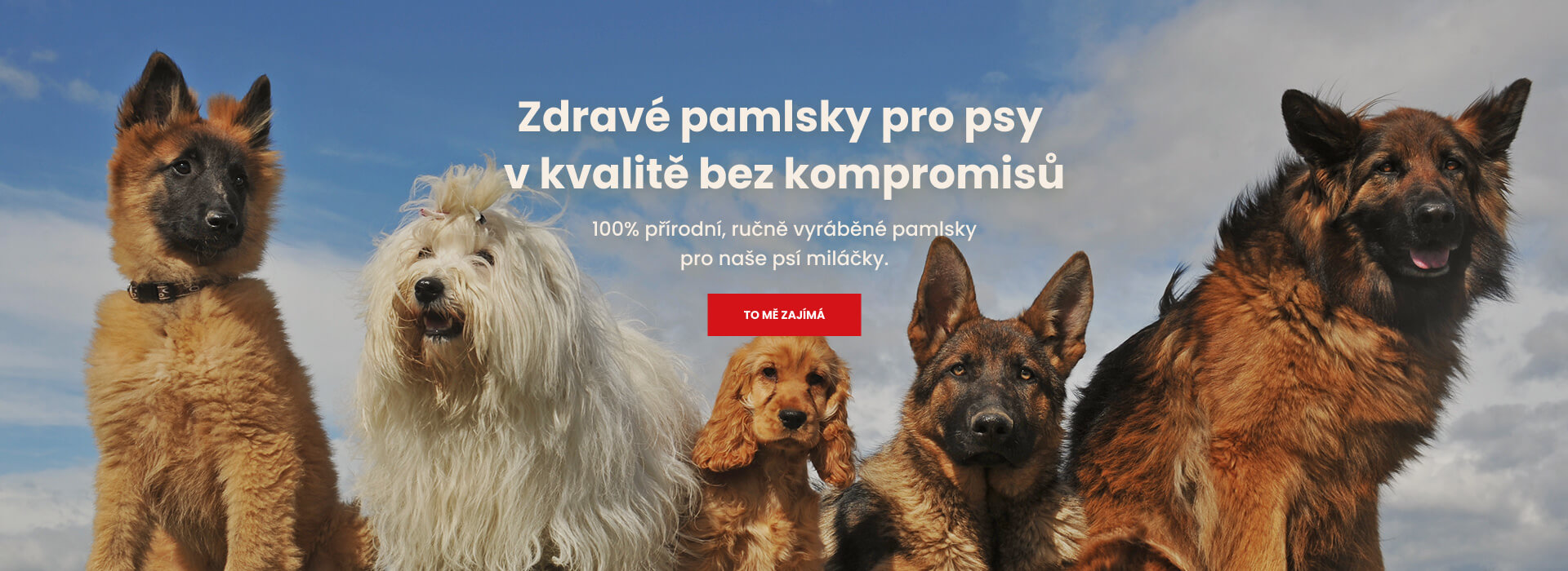 Zdravé pamlsky pro psy