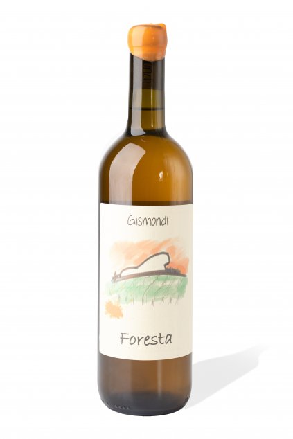 Gismondi foresta