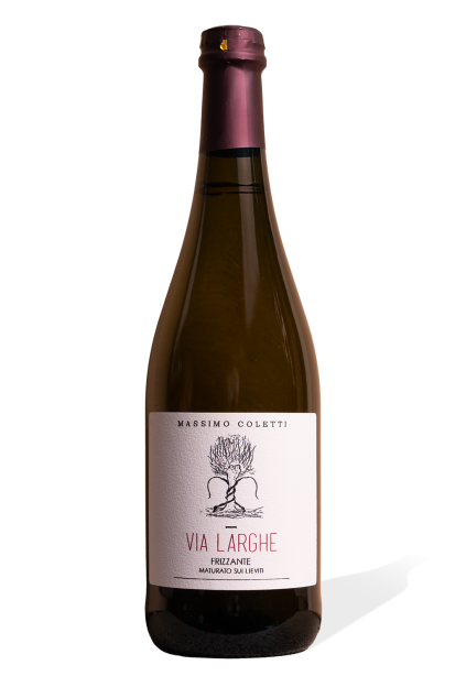 coletti larghe