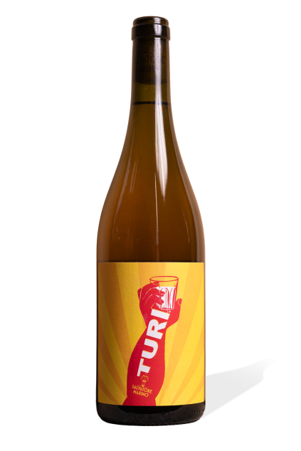 marino turi