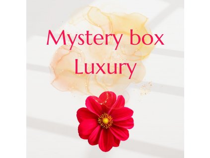 Bara_Severin Luxury mystery box