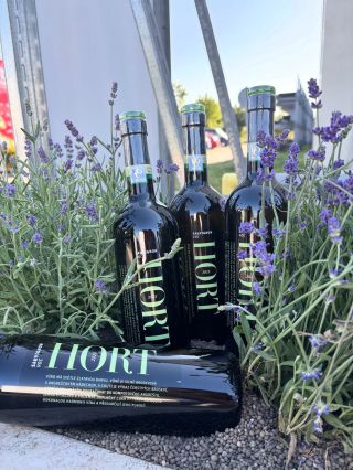 ✨ Elegance ukrytá v každé kapce. Sauvignon VOC Znojmo 2023 od vinařství Jiřího Horta (VINO HORT) okouzlí sametovou vůní...