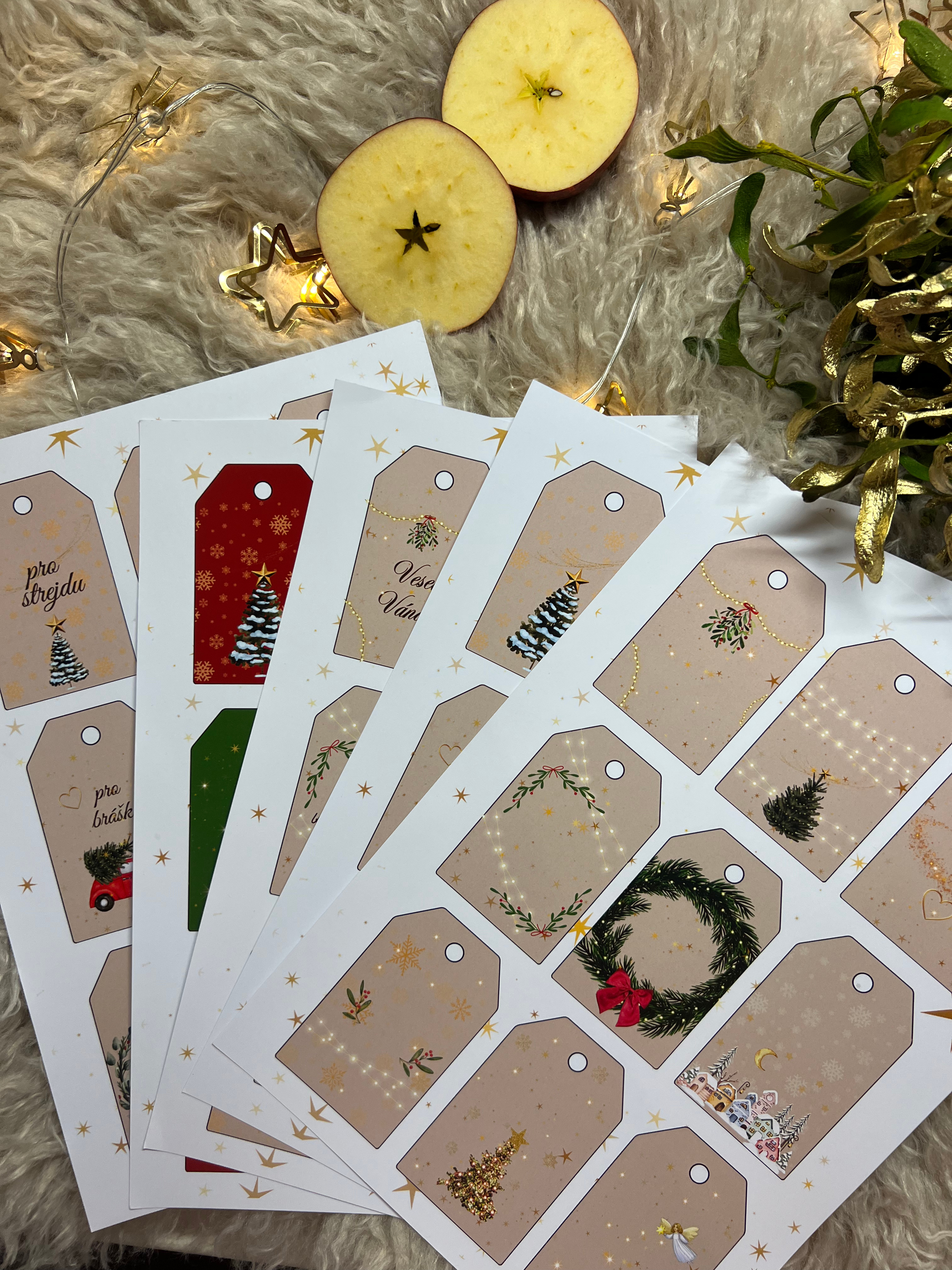 4221e4f4-d022-4e98-a393-22489d83a8da